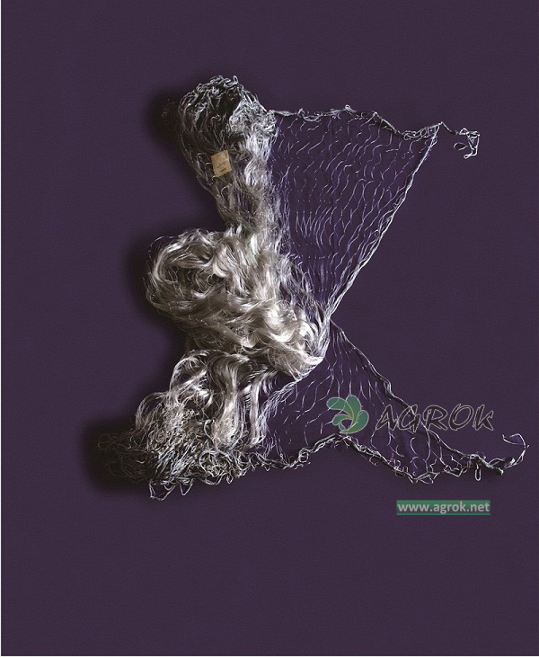 Gill net