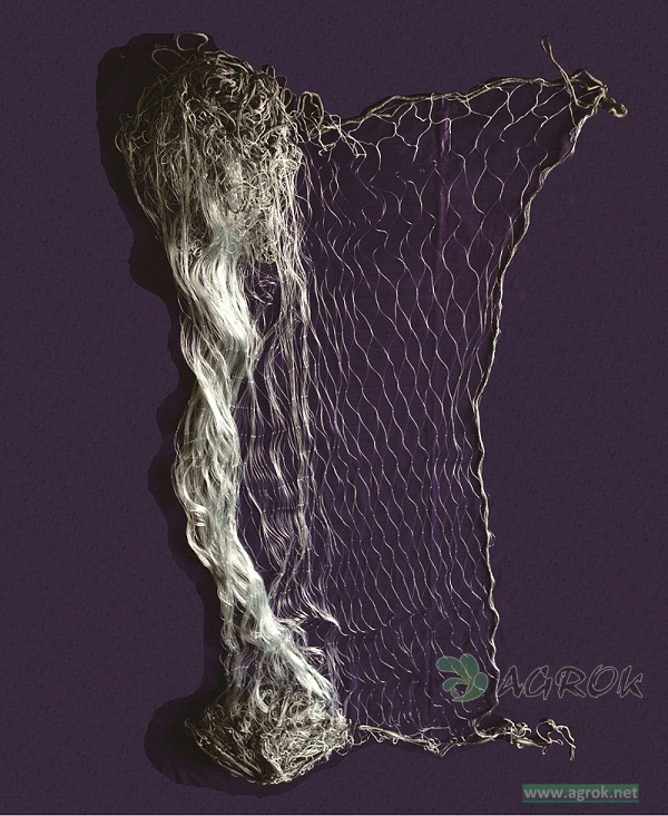 Gill net
