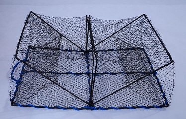 Square cage