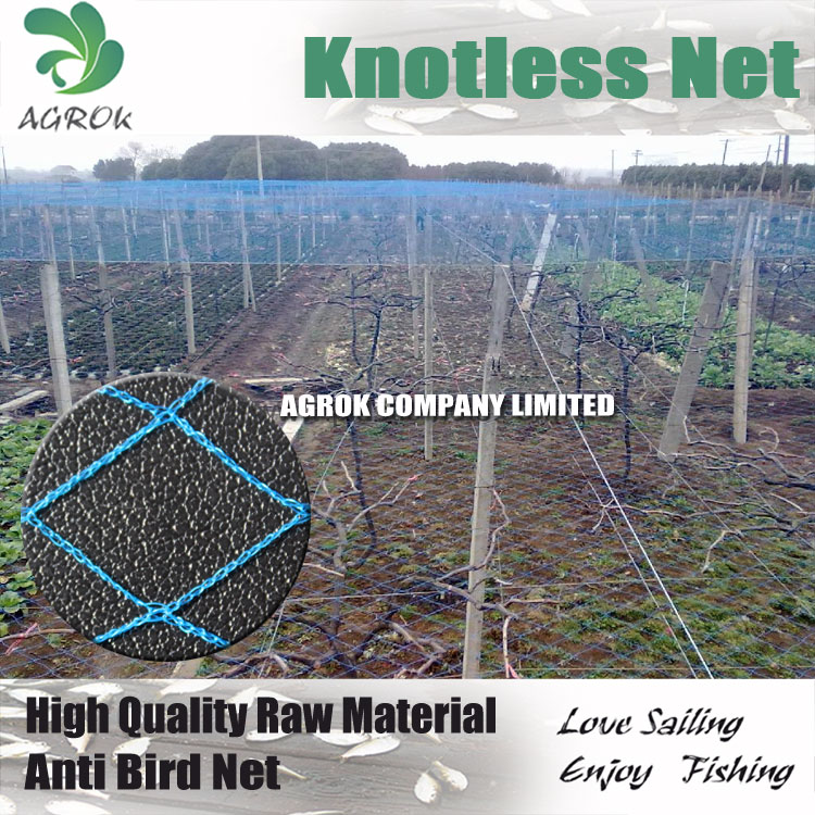 PE Knotless Net Agriculture Net