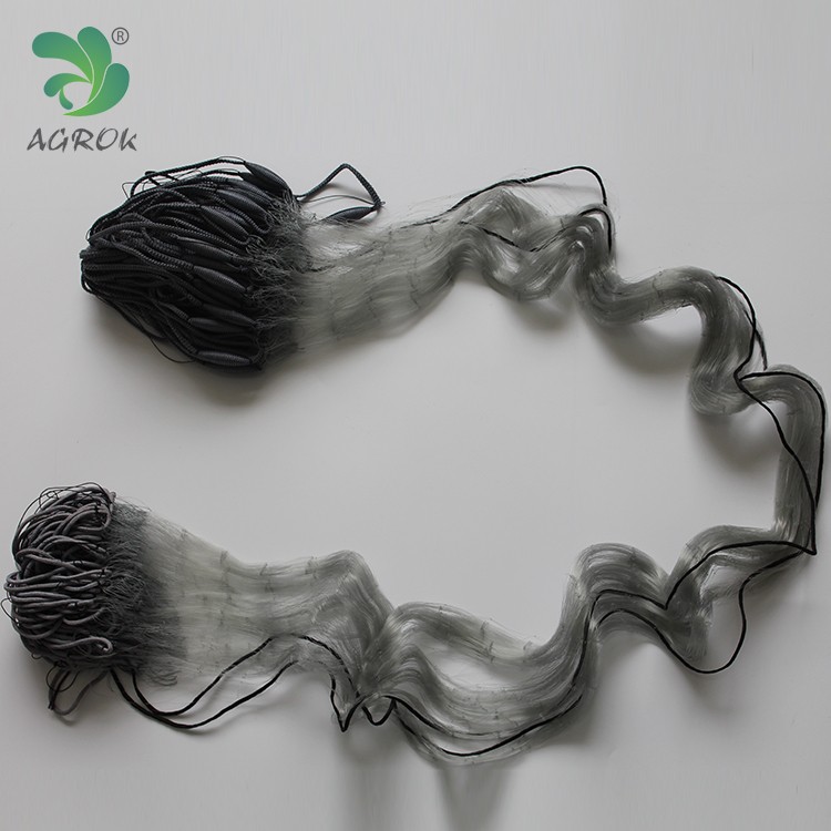 Gill Net